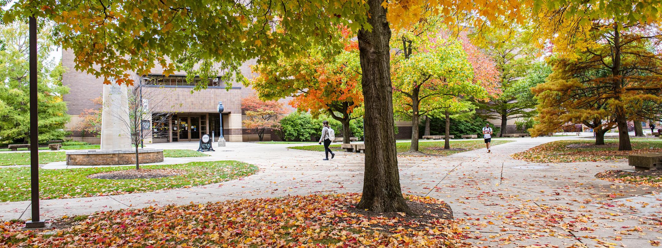 Autumn day on campus.